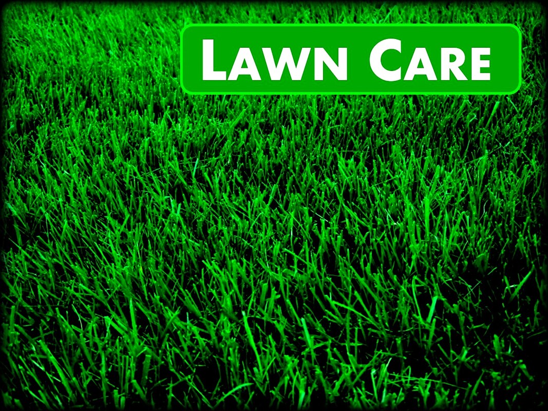 Jons Lawns of Annapolis - Lawn Health - Lawn Care