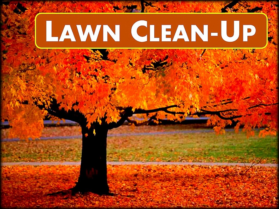 Jons Lawns of Annapolis - Lawn Clean-Up - Lawn Care
